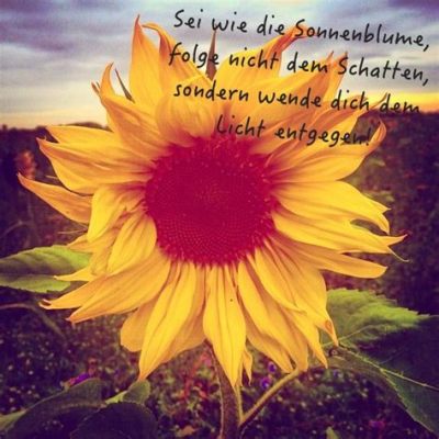  Die Sonnenblume des Zumbi: Eine Ode an die Natur und die menschliche Seele!